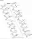 Fig. 18 - Antisense Oligonucleotides Targeting ATXN3