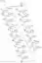 Fig. 21 - Antisense Oligonucleotides Targeting ATXN3