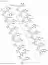 Fig. 26 - Antisense Oligonucleotides Targeting ATXN3