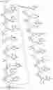Fig. 28 - Antisense Oligonucleotides Targeting ATXN3
