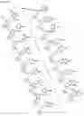 Fig. 30 - Antisense Oligonucleotides Targeting ATXN3