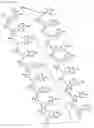 Fig. 32 - Antisense Oligonucleotides Targeting ATXN3