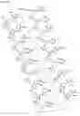 Fig. 35 - Antisense Oligonucleotides Targeting ATXN3