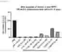Fig. 42 - Antisense Oligonucleotides Targeting ATXN3