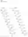 Fig. 06 - Oligonucleotides for modulating Tau expression