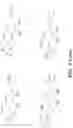 Fig. 07 - ENDOSOMAL CLEAVABLE LINKERS