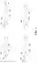 Fig. 13 - ENDOSOMAL CLEAVABLE LINKERS