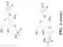 Fig. 18 - ENDOSOMAL CLEAVABLE LINKERS