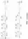 Fig. 28 - ENDOSOMAL CLEAVABLE LINKERS