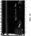 Fig. 40 - ENDOSOMAL CLEAVABLE LINKERS