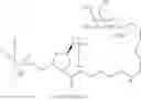 Fig. 46 - ENDOSOMAL CLEAVABLE LINKERS