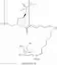 Fig. 48 - ENDOSOMAL CLEAVABLE LINKERS