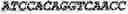 Fig. 05 - Aptamers against , compositions comprising aptamers against and methods of using the same