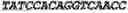 Fig. 08 - Aptamers against , compositions comprising aptamers against and methods of using the same