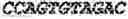 Fig. 09 - Aptamers against , compositions comprising aptamers against and methods of using the same