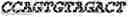 Fig. 17 - Aptamers against , compositions comprising aptamers against and methods of using the same