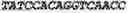 Fig. 24 - Aptamers against , compositions comprising aptamers against and methods of using the same