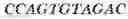 Fig. 33 - Aptamers against , compositions comprising aptamers against and methods of using the same