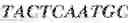 Fig. 34 - Aptamers against , compositions comprising aptamers against and methods of using the same