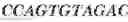 Fig. 37 - Aptamers against , compositions comprising aptamers against and methods of using the same
