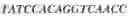 Fig. 40 - Aptamers against , compositions comprising aptamers against and methods of using the same