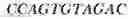 Fig. 41 - Aptamers against , compositions comprising aptamers against and methods of using the same