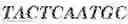 Fig. 45 - Aptamers against , compositions comprising aptamers against and methods of using the same