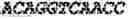 Fig. 47 - Aptamers against , compositions comprising aptamers against and methods of using the same