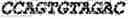Fig. 52 - Aptamers against , compositions comprising aptamers against and methods of using the same