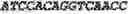 Fig. 55 - Aptamers against , compositions comprising aptamers against and methods of using the same