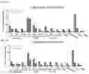 Fig. 04 - RNA-nanostructured double robots and methods of use thereof