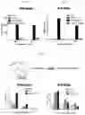 Fig. 06 - RNA-nanostructured double robots and methods of use thereof