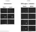 Fig. 08 - RNA-nanostructured double robots and methods of use thereof
