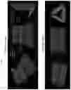 Fig. 29 - RNA-nanostructured double robots and methods of use thereof