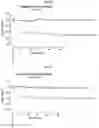 Fig. 06 - Modified short interfering nucleic acid (siNA) molecules and uses thereof