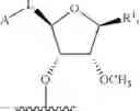 Fig. 109 - Modified short interfering nucleic acid (siNA) molecules and uses thereof