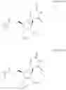 Fig. 120 - Modified short interfering nucleic acid (siNA) molecules and uses thereof