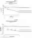 Fig. 13 - Modified short interfering nucleic acid (siNA) molecules and uses thereof
