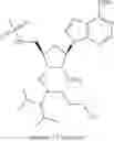 Fig. 142 - Modified short interfering nucleic acid (siNA) molecules and uses thereof