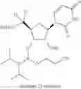 Fig. 147 - Modified short interfering nucleic acid (siNA) molecules and uses thereof