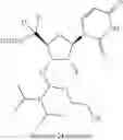 Fig. 149 - Modified short interfering nucleic acid (siNA) molecules and uses thereof