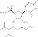 Fig. 151 - Modified short interfering nucleic acid (siNA) molecules and uses thereof
