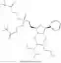 Fig. 164 - Modified short interfering nucleic acid (siNA) molecules and uses thereof