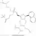 Fig. 166 - Modified short interfering nucleic acid (siNA) molecules and uses thereof