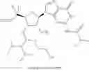 Fig. 185 - Modified short interfering nucleic acid (siNA) molecules and uses thereof