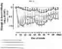 Fig. 19 - Modified short interfering nucleic acid (siNA) molecules and uses thereof