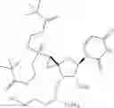 Fig. 195 - Modified short interfering nucleic acid (siNA) molecules and uses thereof