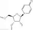 Fig. 199 - Modified short interfering nucleic acid (siNA) molecules and uses thereof