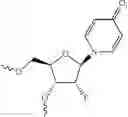 Fig. 201 - Modified short interfering nucleic acid (siNA) molecules and uses thereof