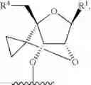 Fig. 206 - Modified short interfering nucleic acid (siNA) molecules and uses thereof